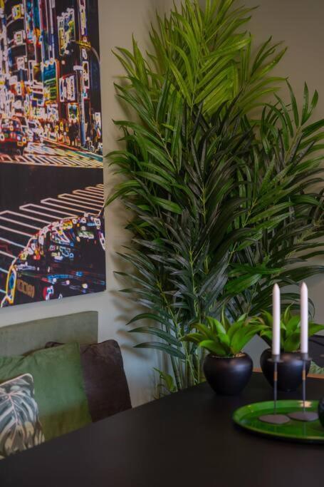 Super Anadia - Olive Apartment ฟุงชาล ภายนอก รูปภาพ